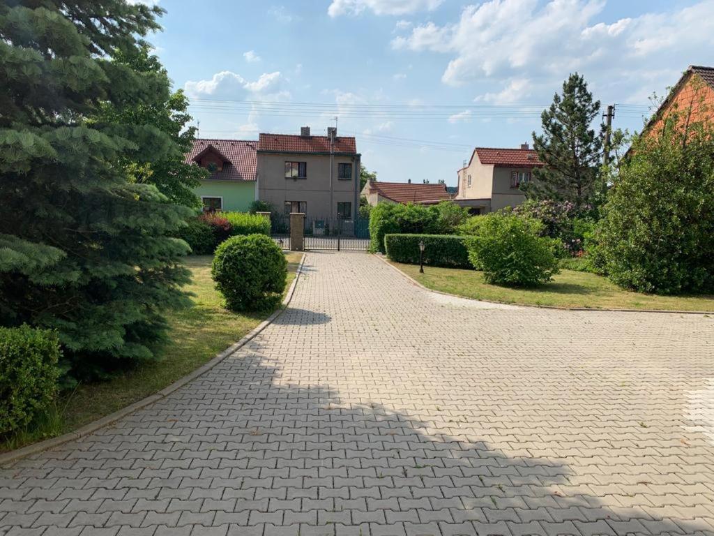 Dogs Resort And Spa Horni Bezdekov Exteriör bild