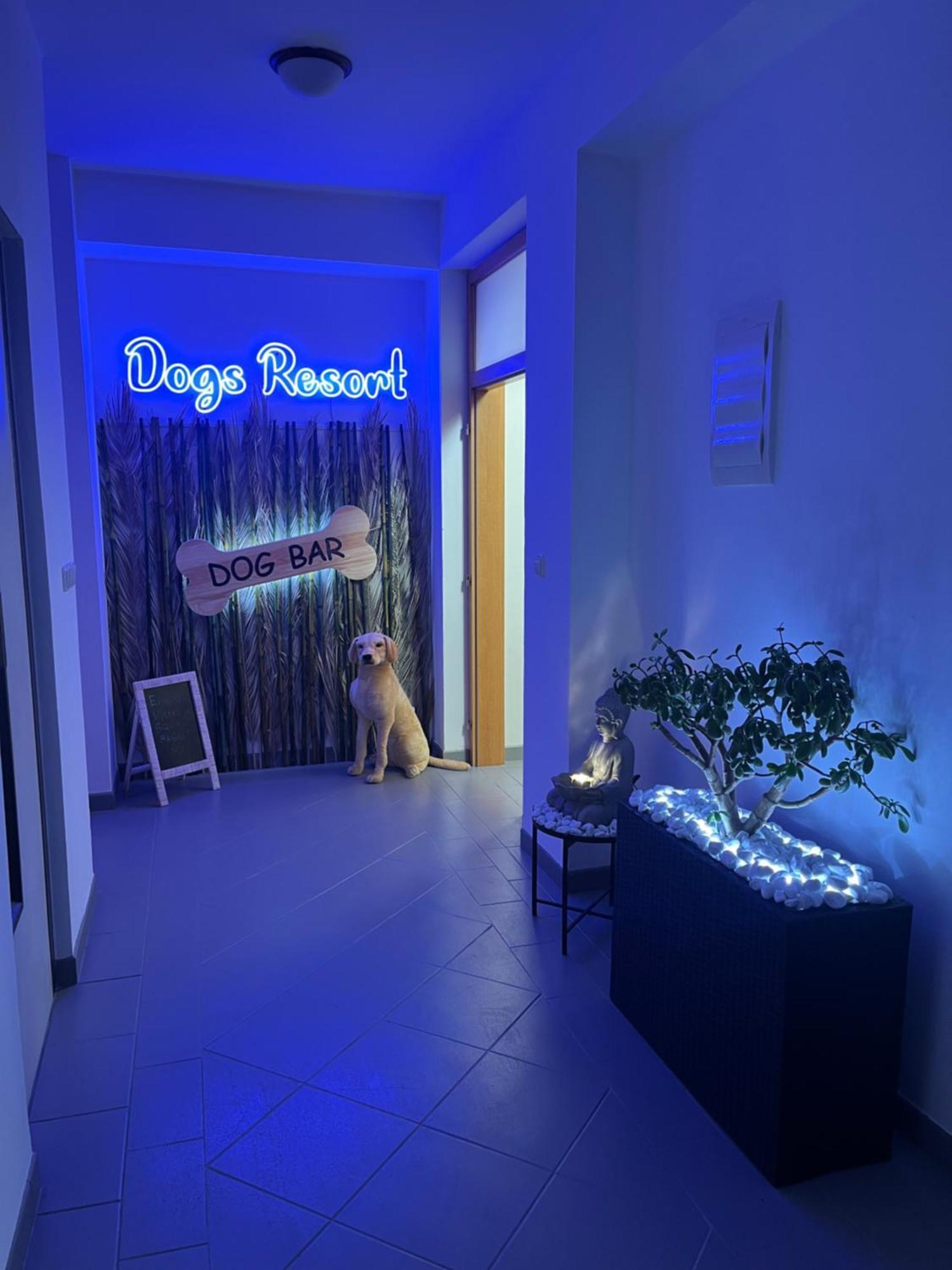 Dogs Resort And Spa Horni Bezdekov Exteriör bild